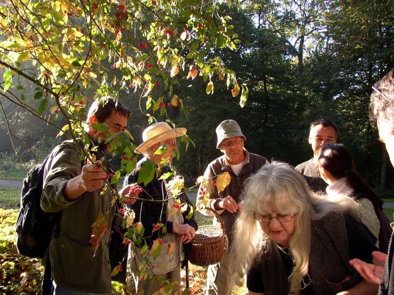 2011 10 02 Baies et champignons 08